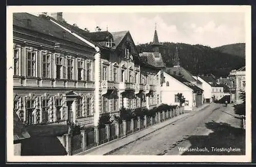 AK Weissenbach a. d. Triesting, Strasse im Sonnenschein