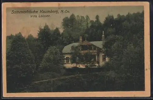 AK Kaumberg /N.-Ö., Villa Leisser