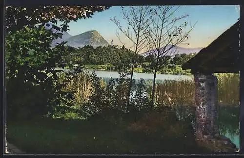 AK Muzzano, Lago di Muzzano, Motivo artistico