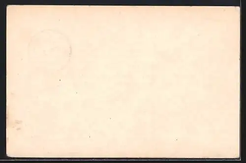 AK Hannover, Blumentag am 20. Mai 1911, Musiker mit Laute, Ganzsache 5 Pfennig