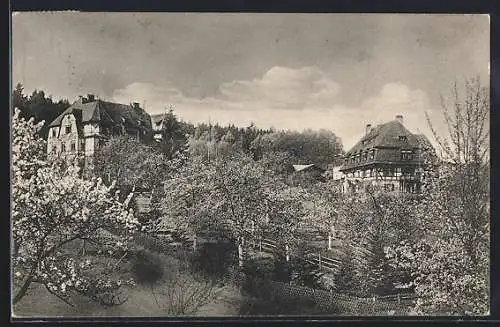 AK Oberdachstetten, Genesungshaus Waldheim