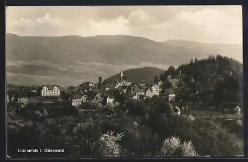 AK Lindenfels i. Odenwald, Panorama