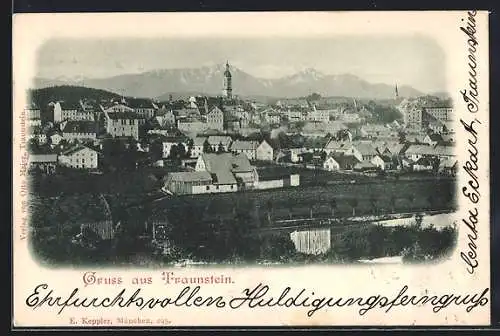 AK Traunstein, Teilansicht mit Bergen