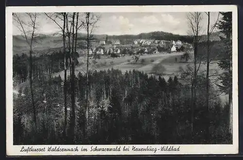 AK Waldrennach im Schwarzwald, Teilansicht mit Bäumen