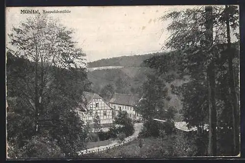 AK Naupoldsmühle, Mühltal b. Eisenberg