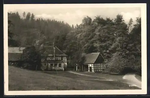 AK Eisenberg /Thür., Gasthaus Froschmühle im Mühltal