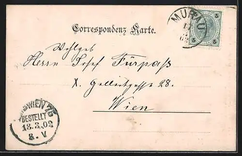 AK Murau /Obersteiermark, Teilansicht aus der Vogelschau