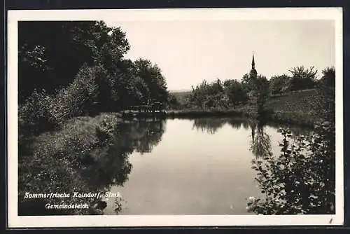 AK Kaindorf /Stmk., Blick über den Gemeindeteich