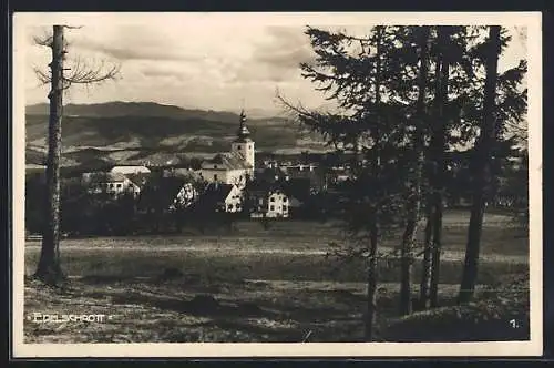 AK Edelschrott, Ortsansicht vom Wald aus