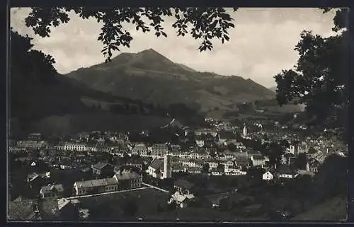 AK Waidhofen an der Ybbs, Blick auf Zell