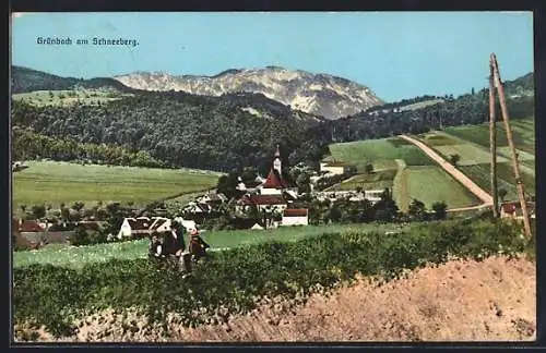 AK Grünbach am Schneeberg, Totalansicht von einen Berg aus