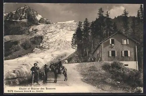 AK Chalet et Glacier des Bossons, Gletscher und Berghütte