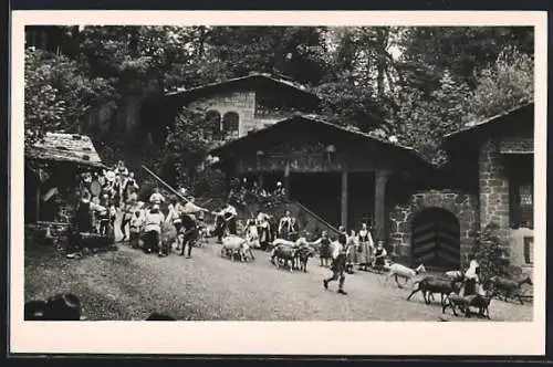 AK Interlaken, Tell-Freilichtspiele, Alpabzug