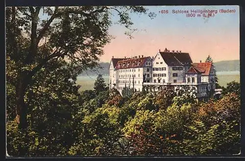 AK Schloss Heiligenberg in Baden, Ansicht aus der Vogelschau