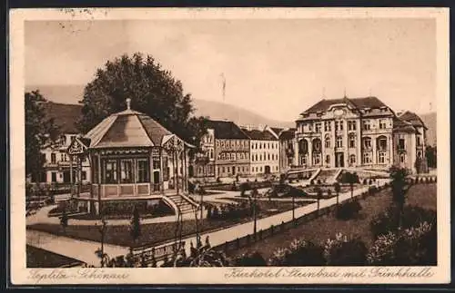 AK Teplitz Schönau-Teplice, Kurhotel Steinbad mit Trinkhalle