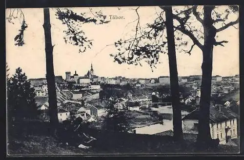 AK Tábor, Panorama