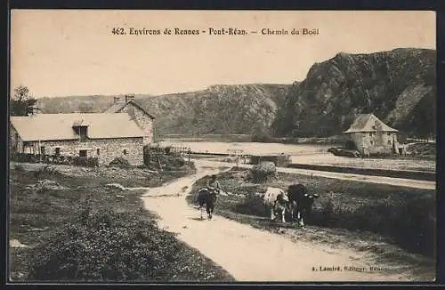 AK Pont-Réan, Chemin du Boël avec maisons et vaches près de la rivière