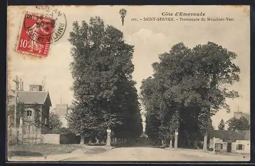 AK Saint-Servan, Promenade du Mouchoir-Vert avec allée d`arbres majestueux