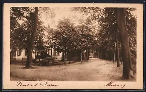 AK Bussum, Partie in der Strasse Meerweg