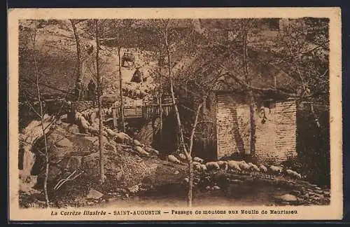 AK Saint-Augustin, Passage de moutons au Moulin de Maurissou