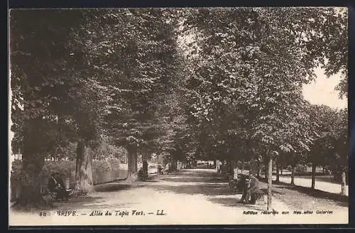 AK Brive, Allée des Tapis Verts