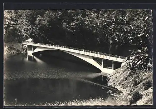 AK Neuvic, Le Pont des Ajustants sur la rivière entourée de forêt