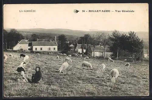 AK Millevache, Vue générale avec moutons et village en arrière-plan