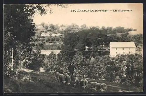 AK Treignac, La Minoterie et troupeau de moutons dans le paysage pastoral