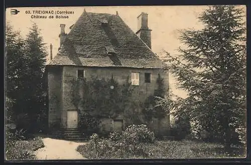 AK Treignac, Château de Boisse entouré d`arbres majestueux