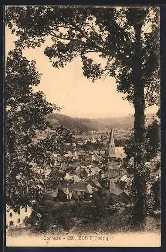 AK Bort, Vue poétique sur la ville entourée d`arbres et collines