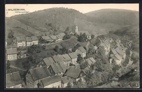 AK Wildemann /Oberharz, Totalansicht von einen Berg aus