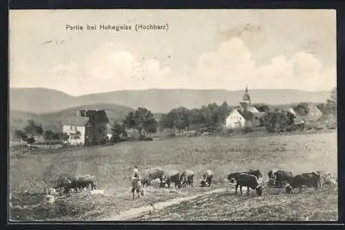 AK Hohegeiss /Hochharz, Ortsansicht von einen Berg aus