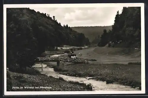 AK Pforzheim, Partie im Würmtal
