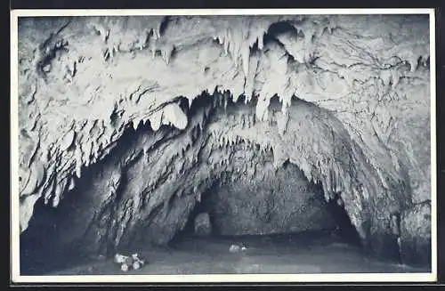 AK Triest, Grotte di San Canziano