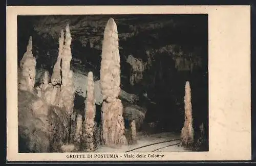 AK Triest, Grotte di Postumia-Viale delle Colonne