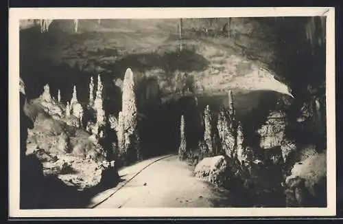 AK Triest, Grotte di Postumia, Il Viale delle colonne