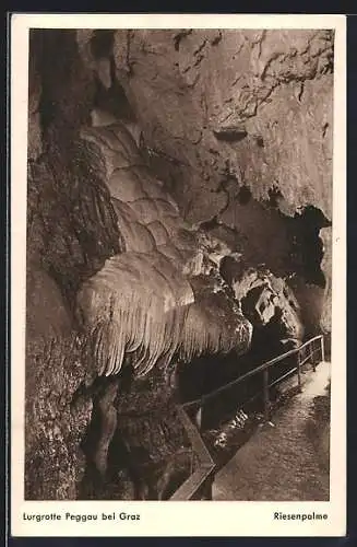 AK Lurgrotte Peggau bei Graz, Riesenpalme, Gang in der Tropfsteinhöhle