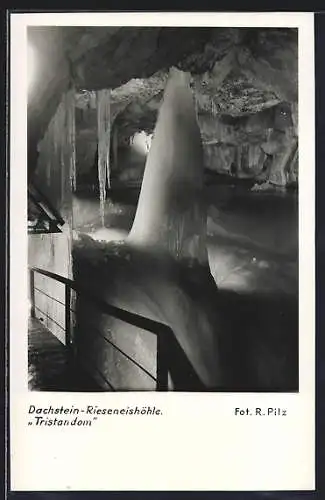 AK Dachstein-Rieseneishöhle, Tristandom