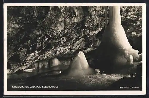 AK Schellenberger Eishöhle, Eingangshalle