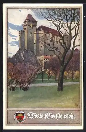 AK Deutscher Schulverein Nr. 164: Feste Liechtenstein, Motiv der Burg