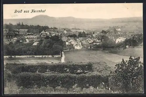 AK Herrnhut, Ortsansicht mit Umgebung aus der Vogelschau