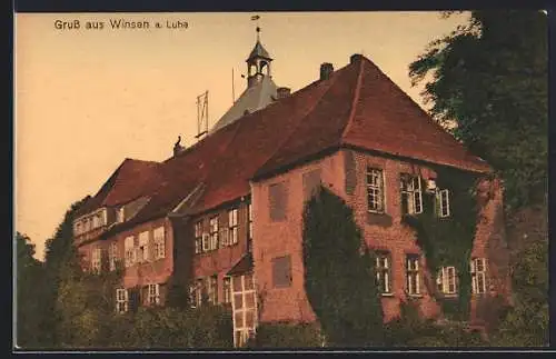 AK Winsen a. Luhe, Villa mit Efeu bewachsen