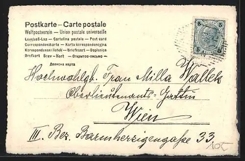 AK Schwein und geflügeltes Mädchen mit Blumen, Neujahrsgruss