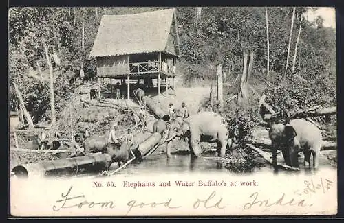 AK Arbeitselefanten und Wasserbüffel beim Verladen von Baumstämmen