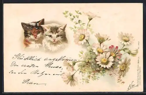 Lithographie Zwei Kätzchen und ein Blumenstrauss