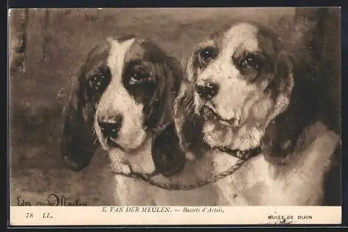 AK Zwei Bassets, aneinander gekettet, Portrait