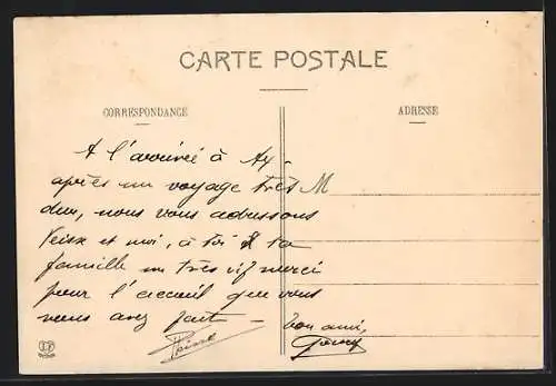 AK Junger Pyrenäenberghund, Portrait