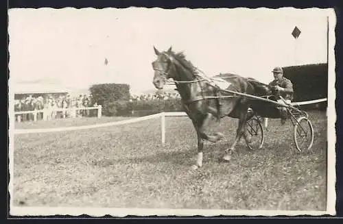 Foto-AK Jockey im Traberwagen auf einer Rennbahn