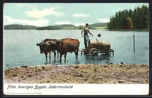 AK Södermanland, Bauer mit Ochsen-Gespann füllt Wasser am See auf