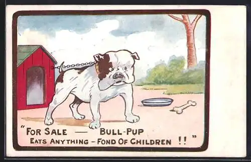 AK For Sale - Bull-Pup, eats anything - fond of Children, Bulldogge vor ihrer Hundehütte